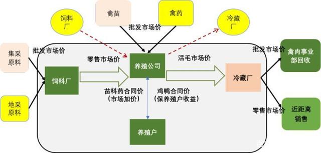 ab禽養殖產業鏈分散化經營模式